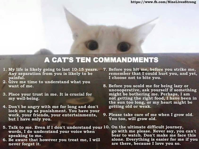 Ten commandments